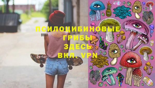 твердый Киренск
