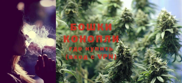 ПСИЛОЦИБИНОВЫЕ ГРИБЫ Карпинск