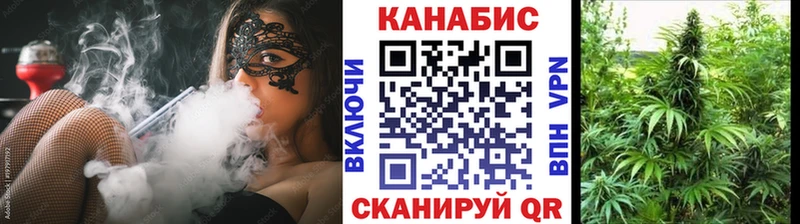 Купить закладки  Венёв  МАРИХУАНА VHQ 
